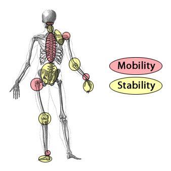 Thoracic Mobility | Impulse Chiro & Natural Therapies