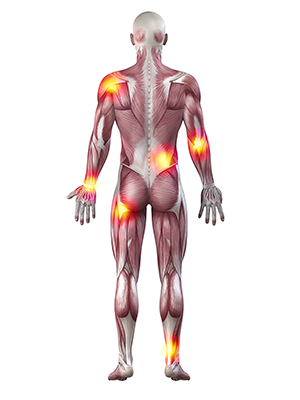 Momentum Chiropratique - Image - Blog