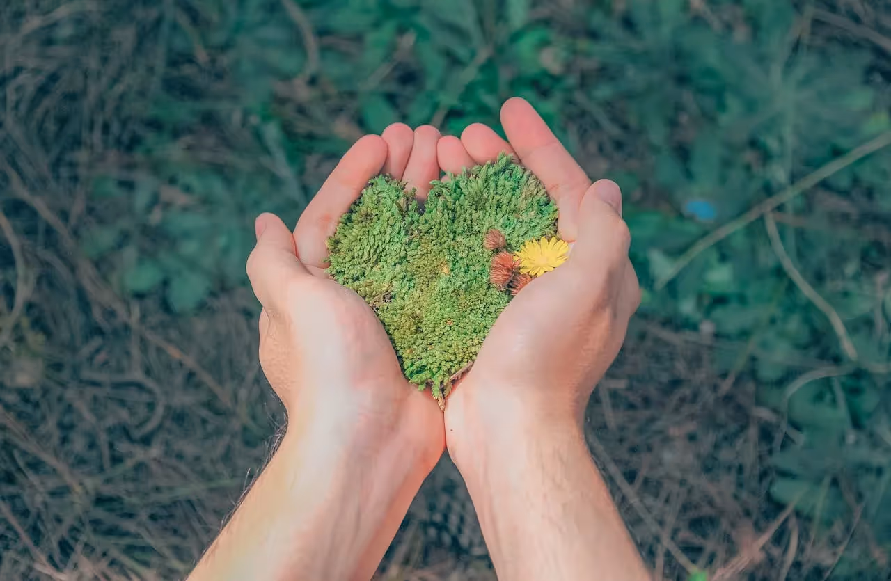 Sustainable diplomas