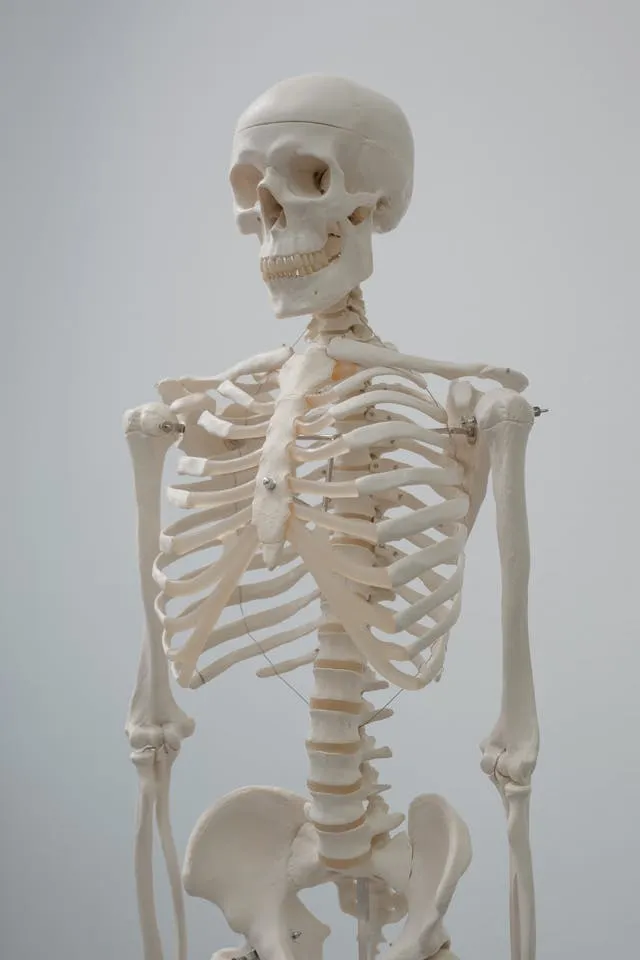 SNHU students in anthropology class