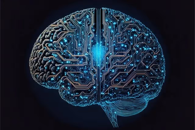Privacy-focused AI tools