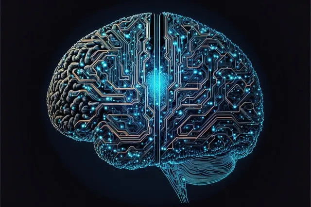 Privacy-focused AI tools