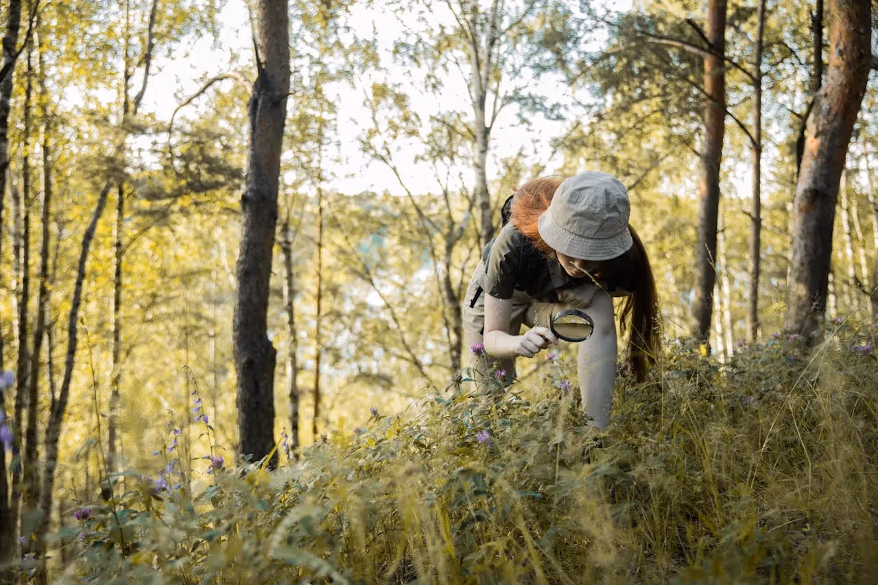 Field Investigator vs Private Investigator: Choosing the Right Investigative Professional