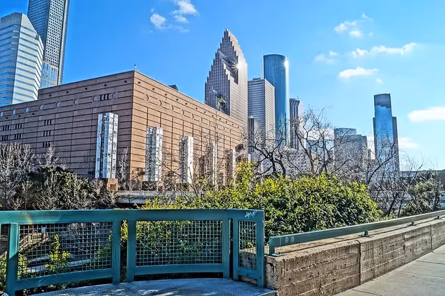 Best business & engineering colleges Houston