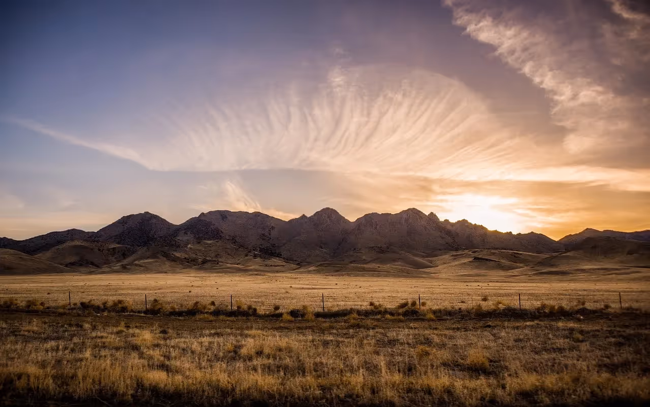 Nevada state flag on blue background.