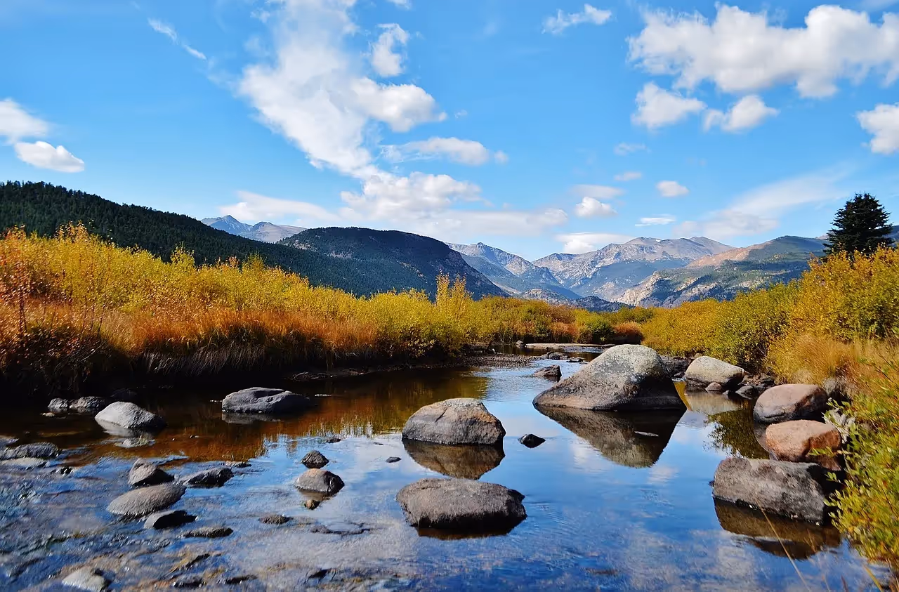 Rolling mountains and pine trees in Colorado wilderness.