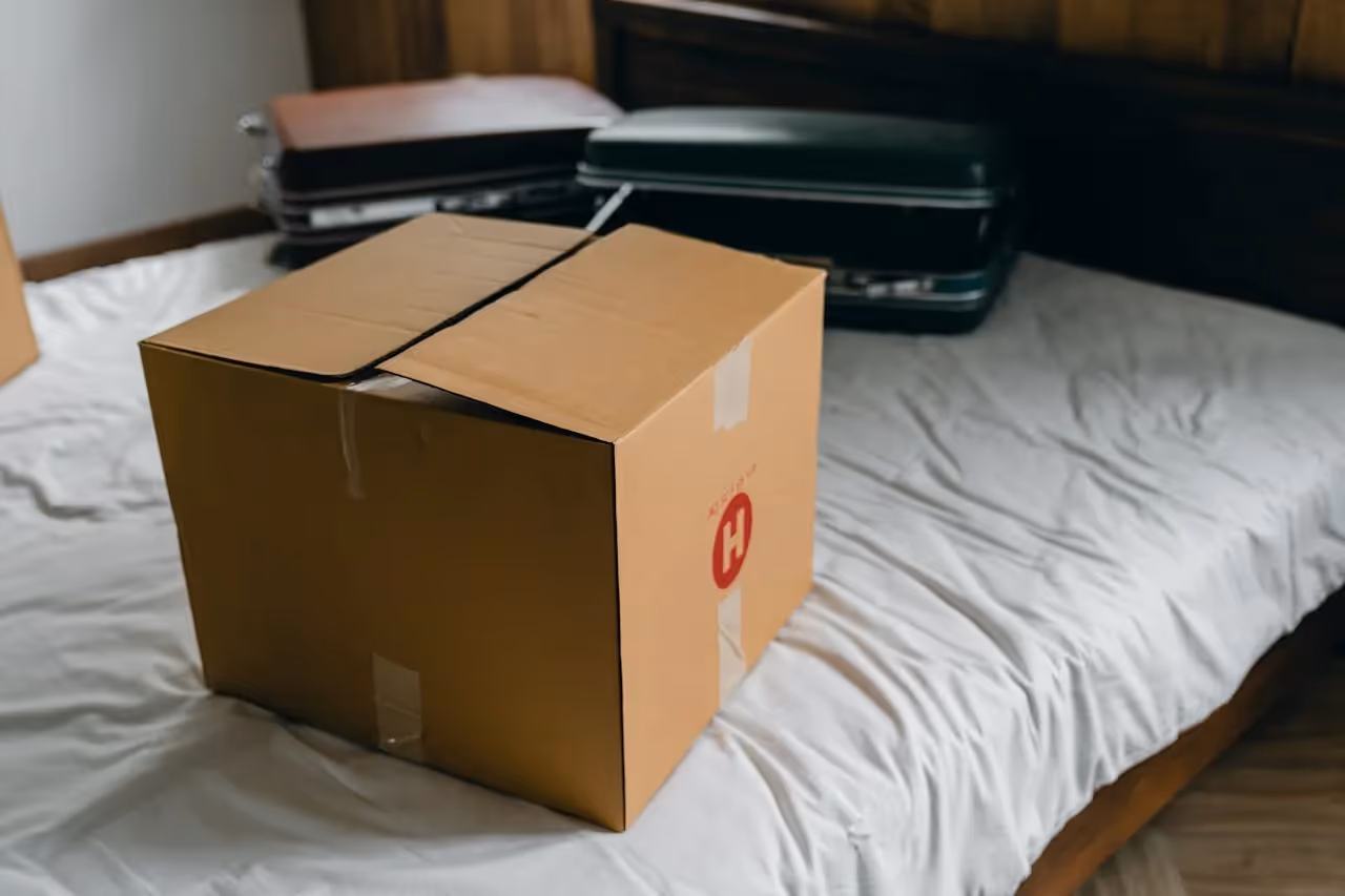 dorm room essentials, college life, comfortable living