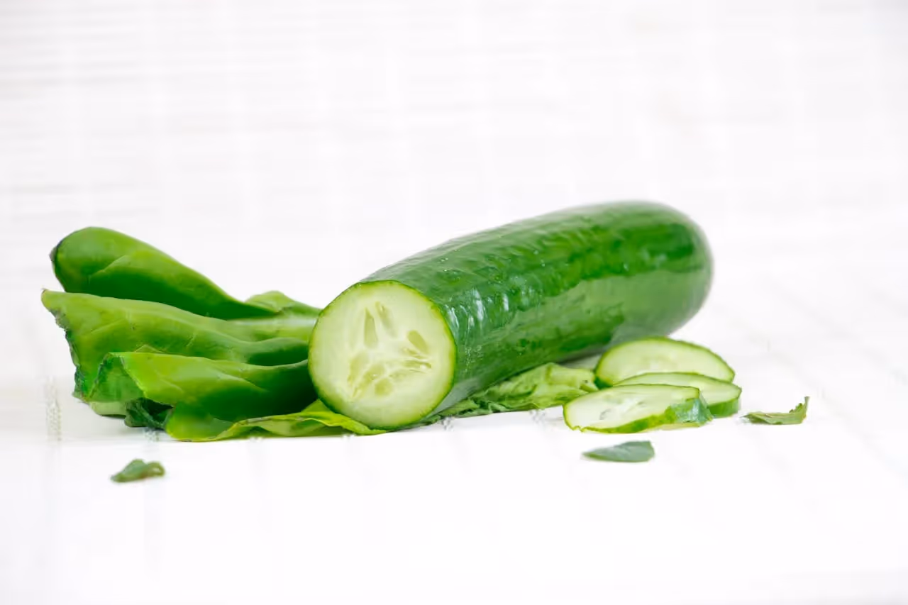 cucumbers growing on vine in Georgia field
