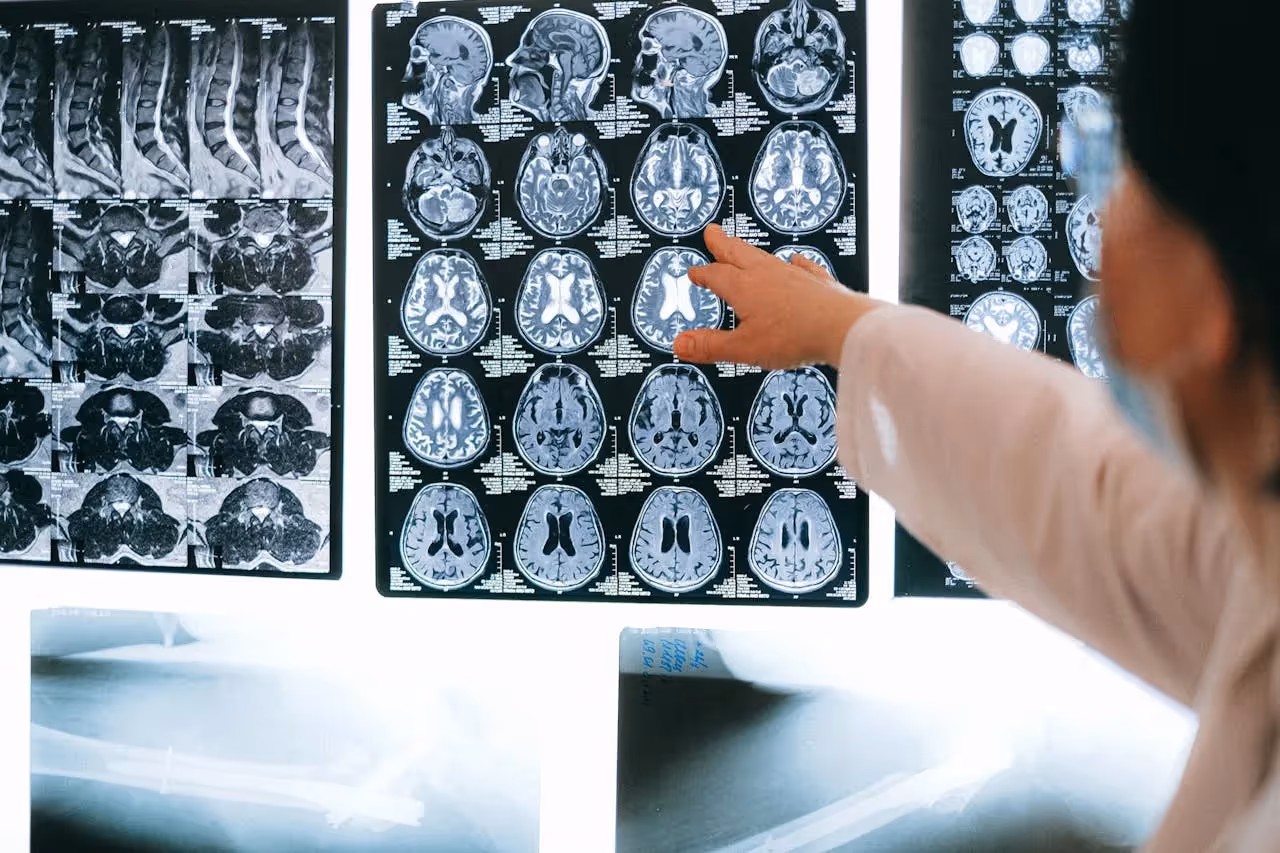 Neuroscience career options at top colleges.