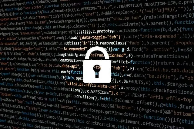 Cybersecurity Master's Degree - Security Analysis and Protection Technology.