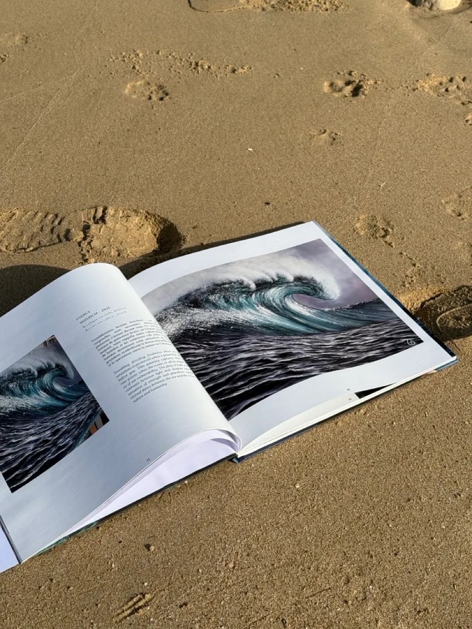 Livre Julie Gazounaud sur plage