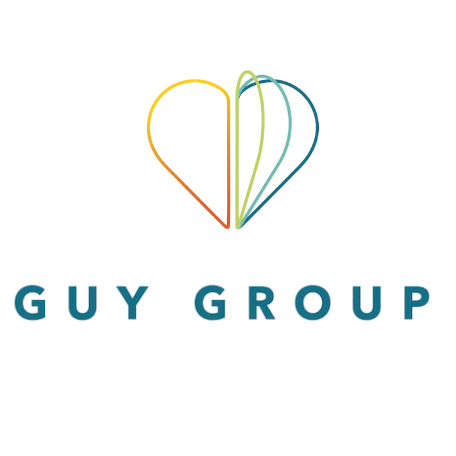 Avishay - CEO, Guy Group