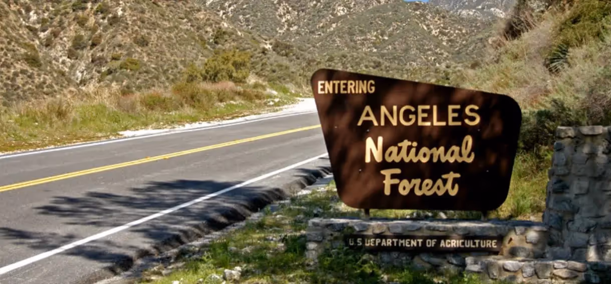 Directional Signage: Enhancing Wayfinding And Customer Experience