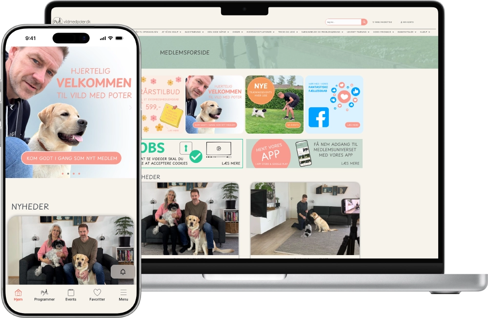 With starti.app you get 2 platforms for only 1 effort.