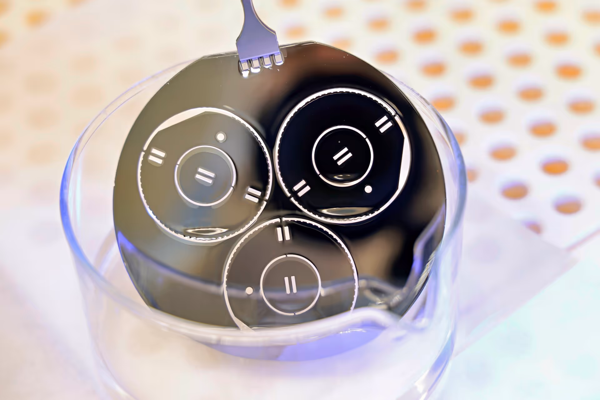 Close-up of a silicon wafer with circular microchips, held by a metal tool above a transparent container.