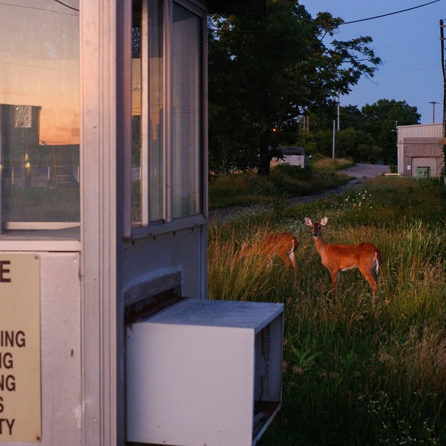 Yebba – Yellow Eyes cover art