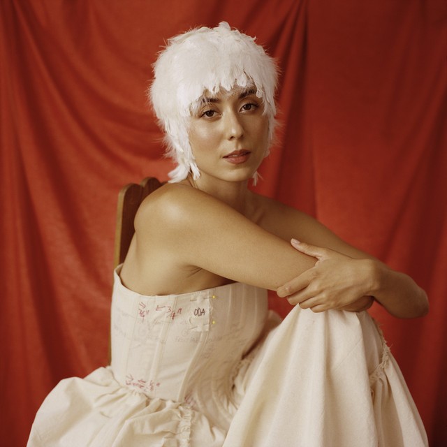 Daniela Andrade – steer cover art