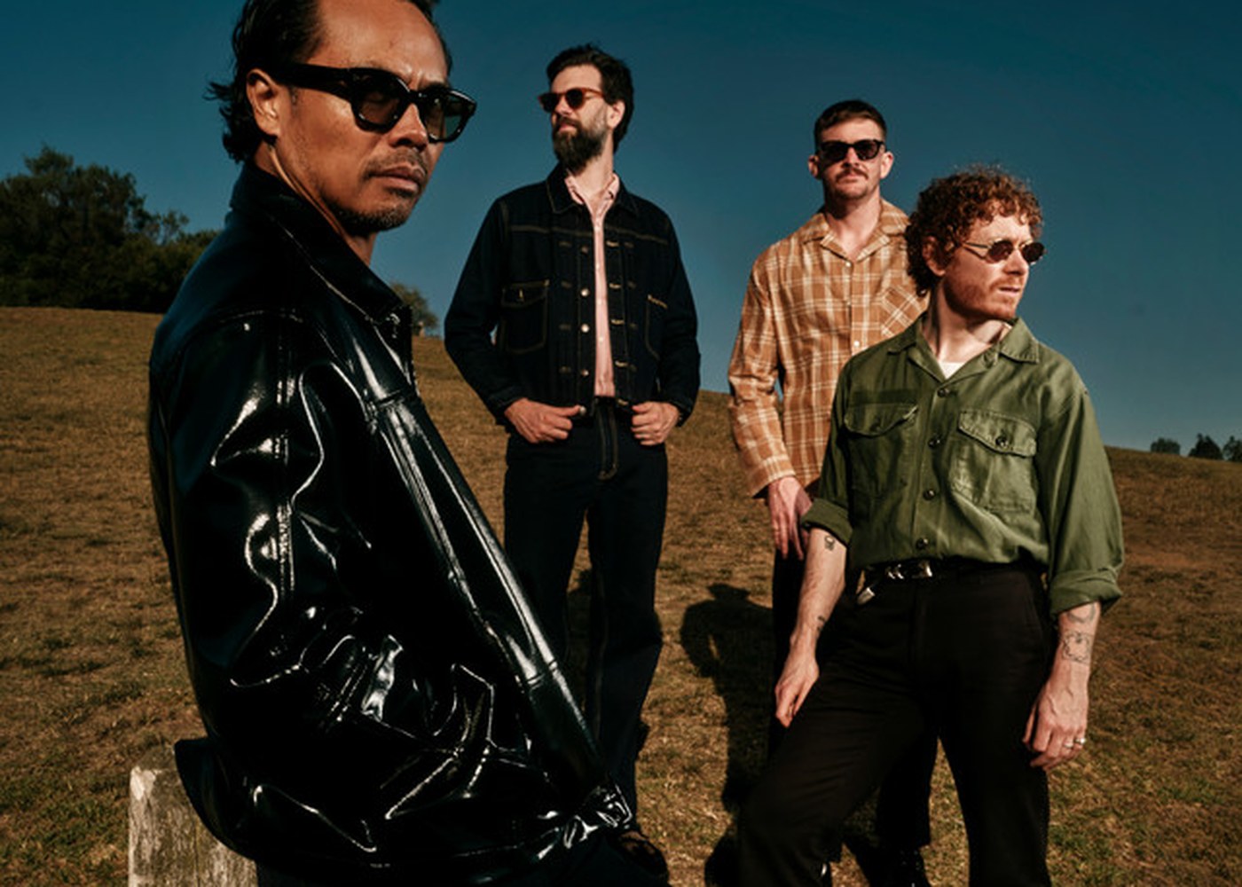 The Temper Trap photo (7:5) for Into The Wild