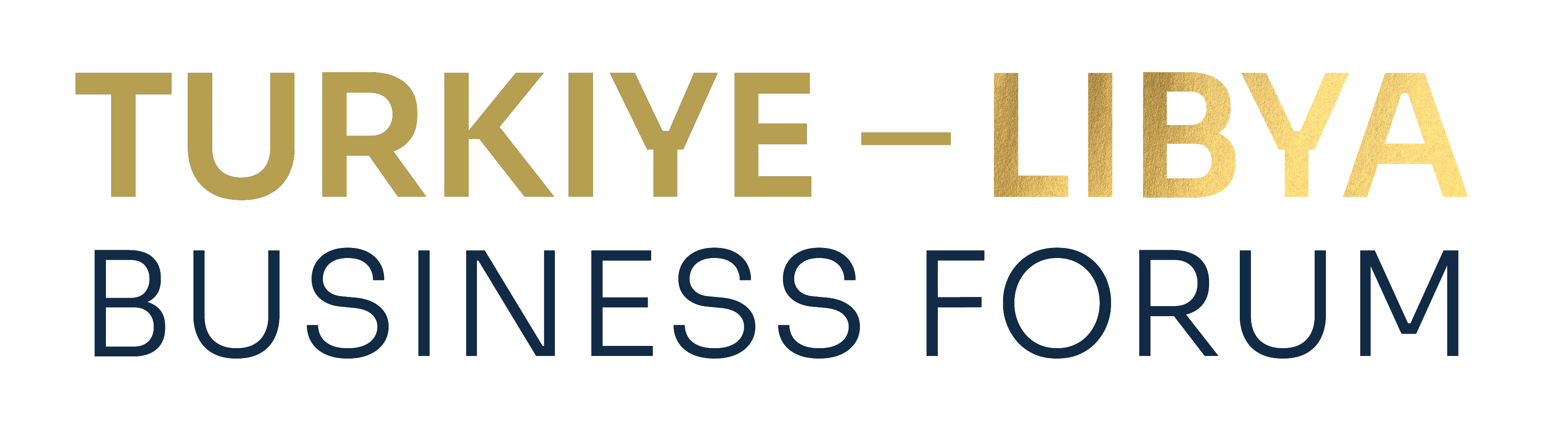 Turkiye–Libya Business Forum 2027