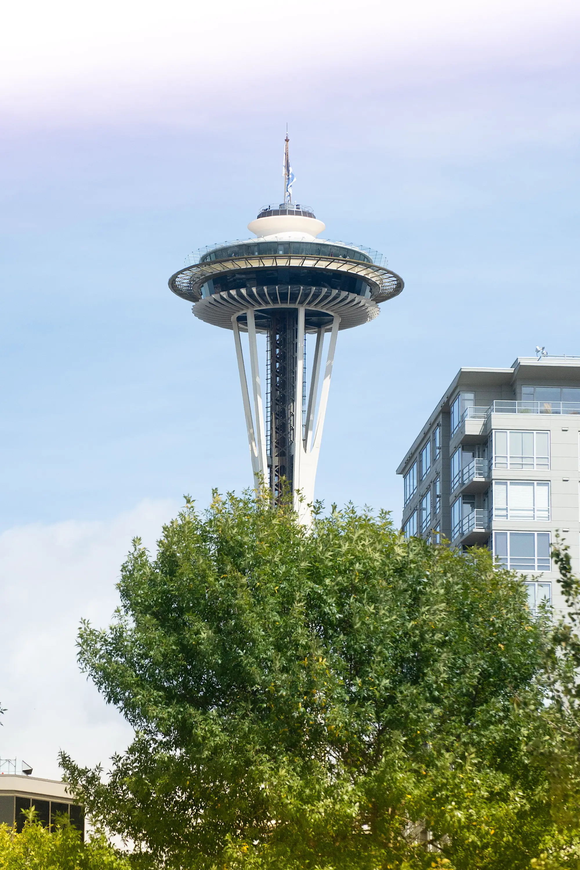 Seattle's Space Needle sitting behind a group of trees