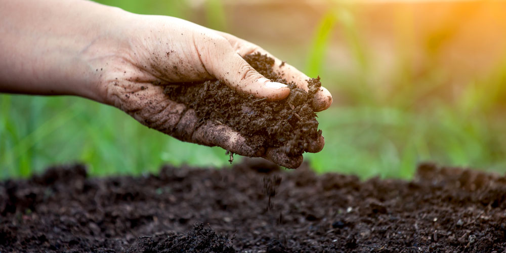 Soluble Potassium Humate Powder supplier Soluble Potassium Humate Powder supplier