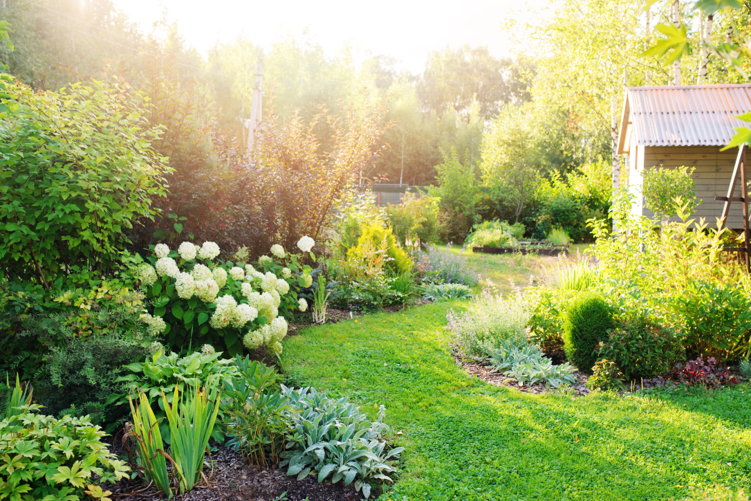 Landscape Design
