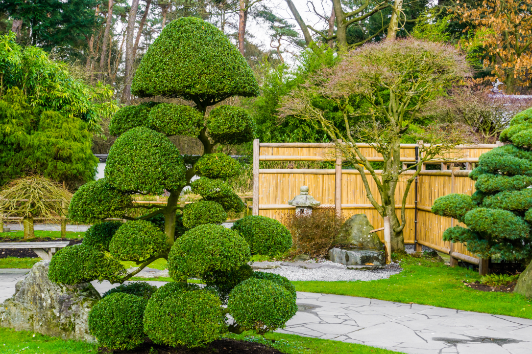 Landscape Design