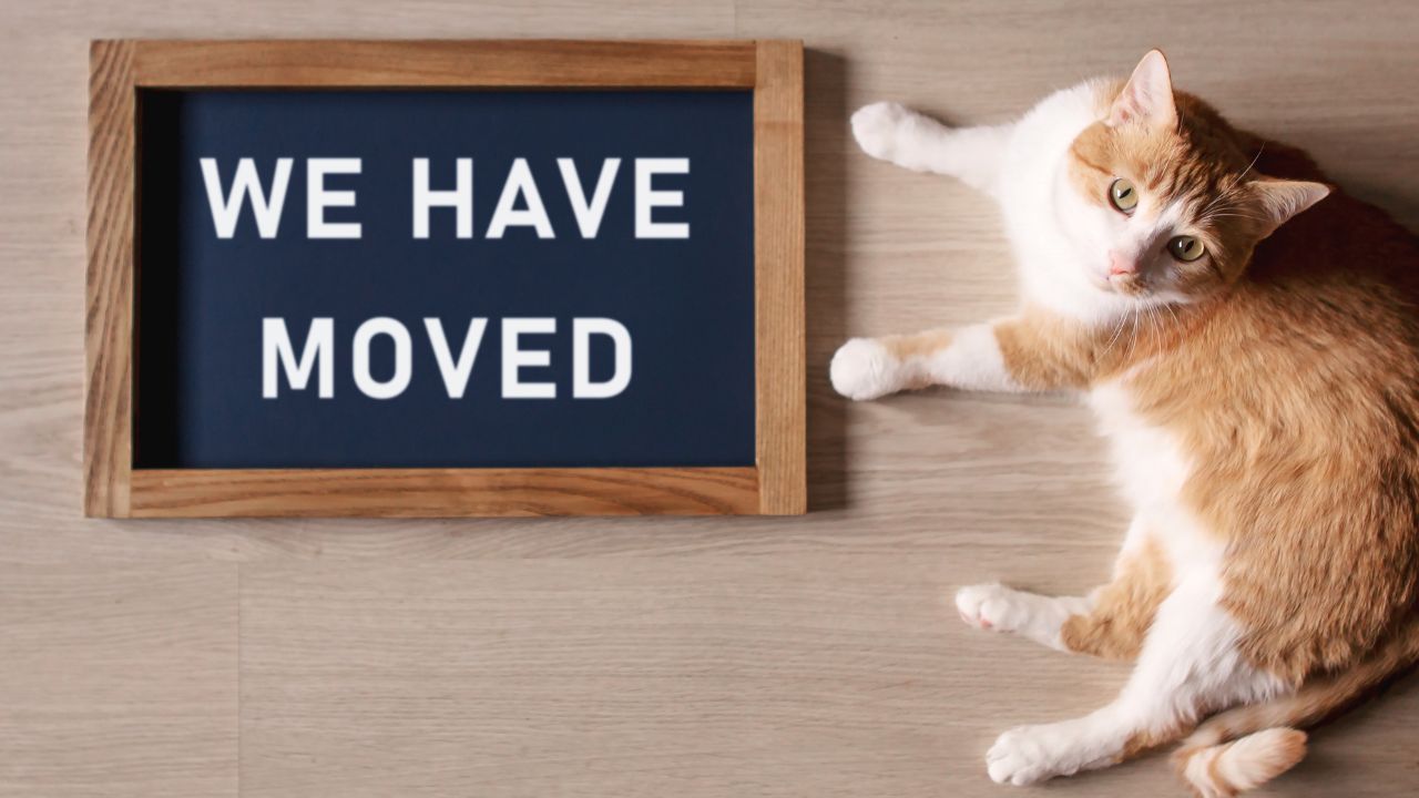 we have moved image