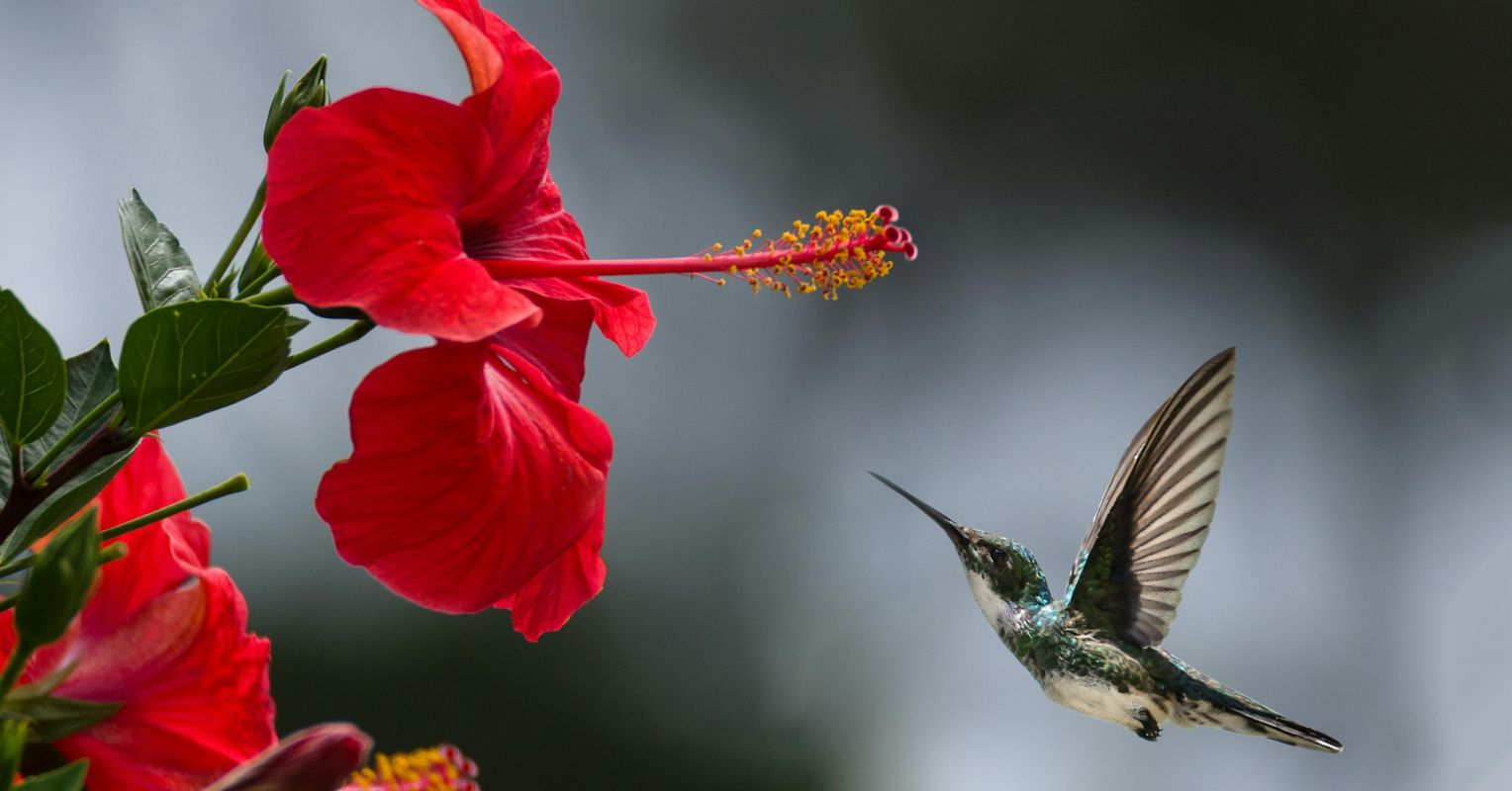 Perderte en la naturaleza puede ayudarte a encontarte a ti