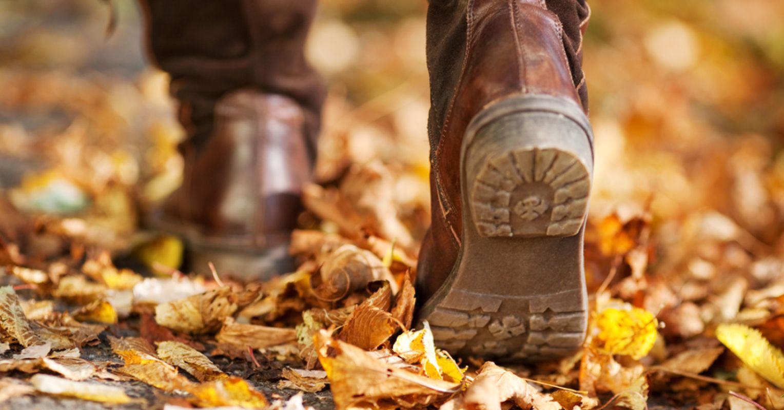 Cómo 3,000 pesos al día protegen tu cerebro