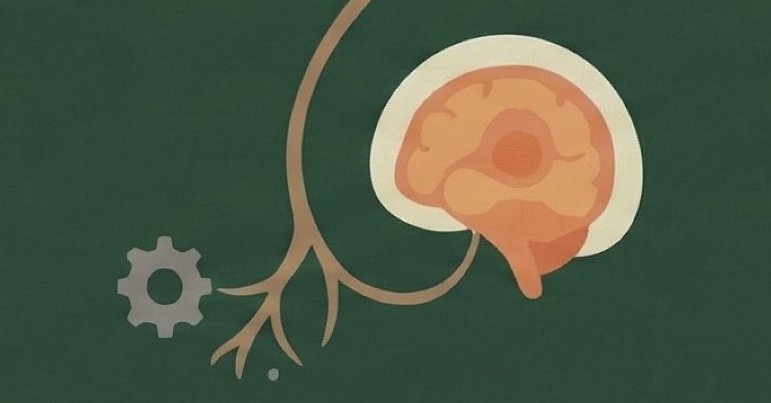 La depresión podría estar ligada a tu sistema inmune