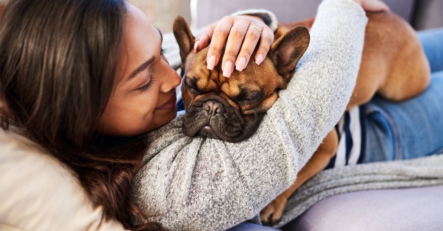 El vínculo sorprendente entre el apego a las mascotas y la salud mental