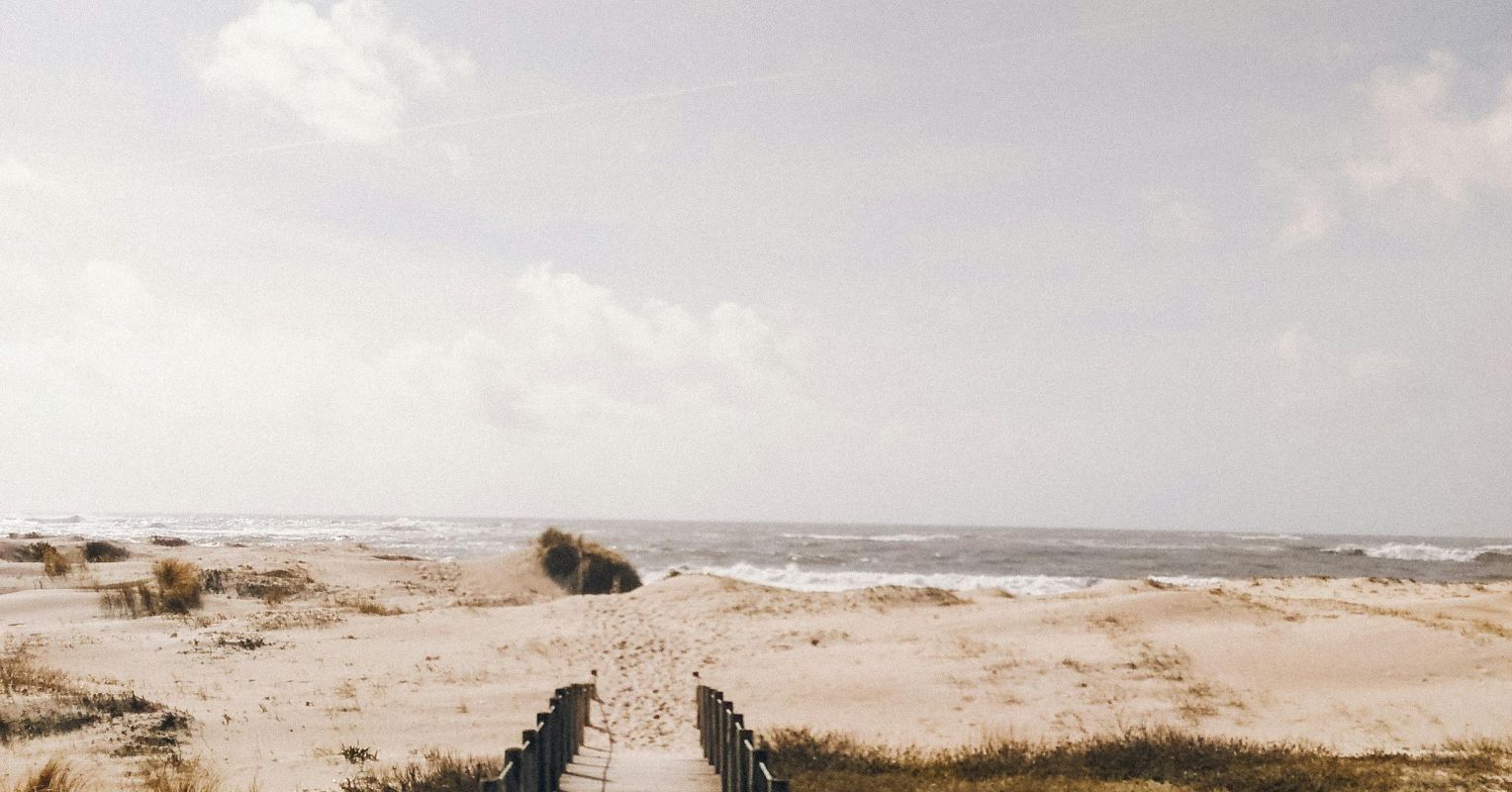 El efecto de Conrad Fisher