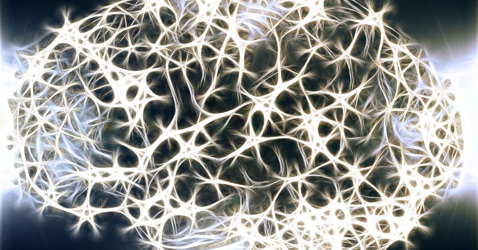 Tu cerebro podría estar más sano de lo que crees