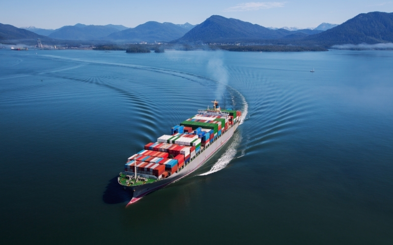 What is Container Ship Capacity?