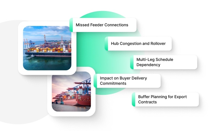 Operational Risks and Delay Triggers in Transshipment