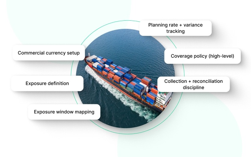 What Forex Management Covers