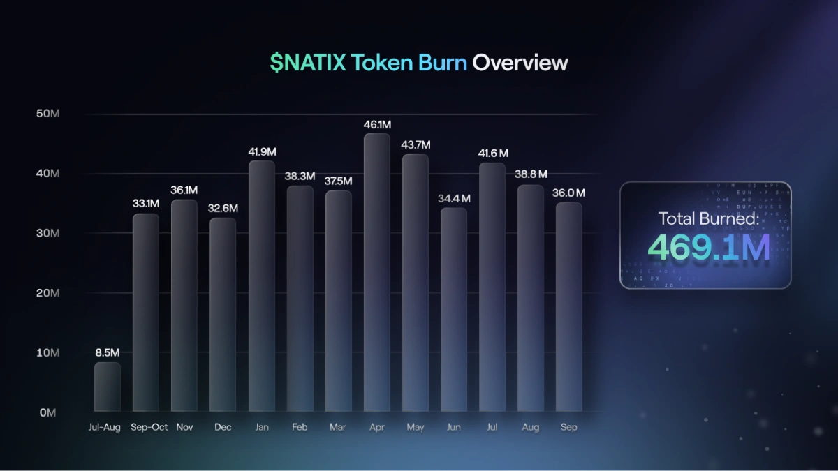Month-by-Month $NATIX Token Burn Metrics - October 2025
