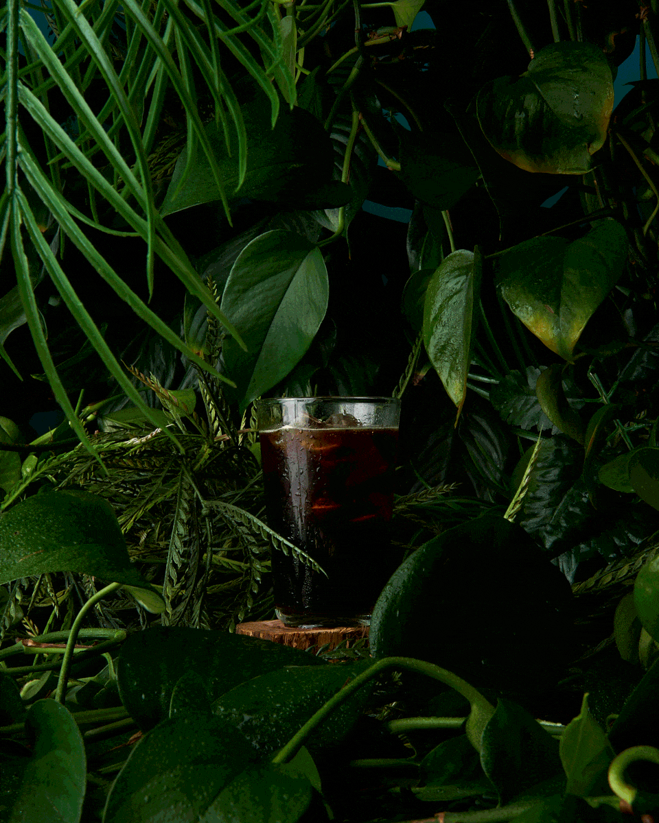 A stop-motion GIF of an iced coffee having milk added, in a rainforest setting. Stop-Motion photography by Alex Crawford.
