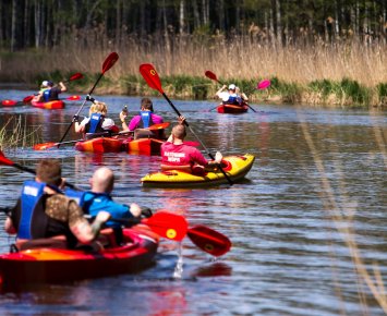Spływy kajakowe