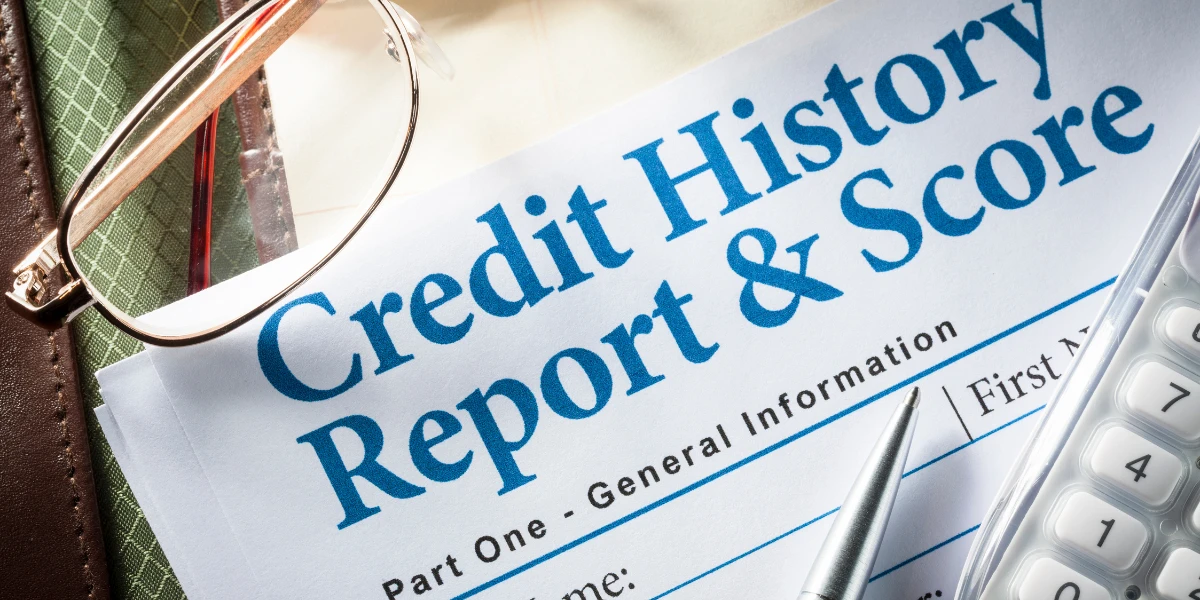 Impact on Applicant's Credit Score and Rental Experience