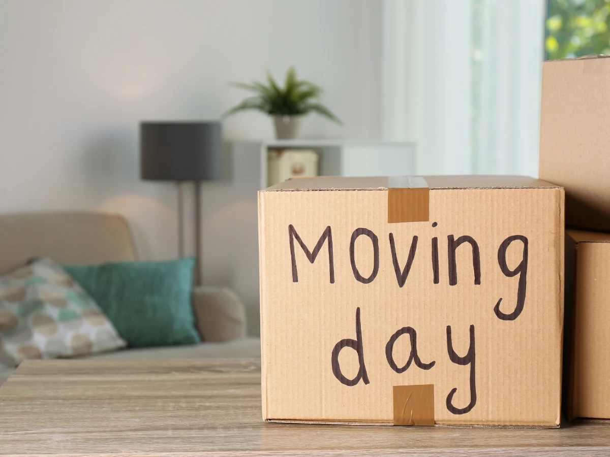 move in