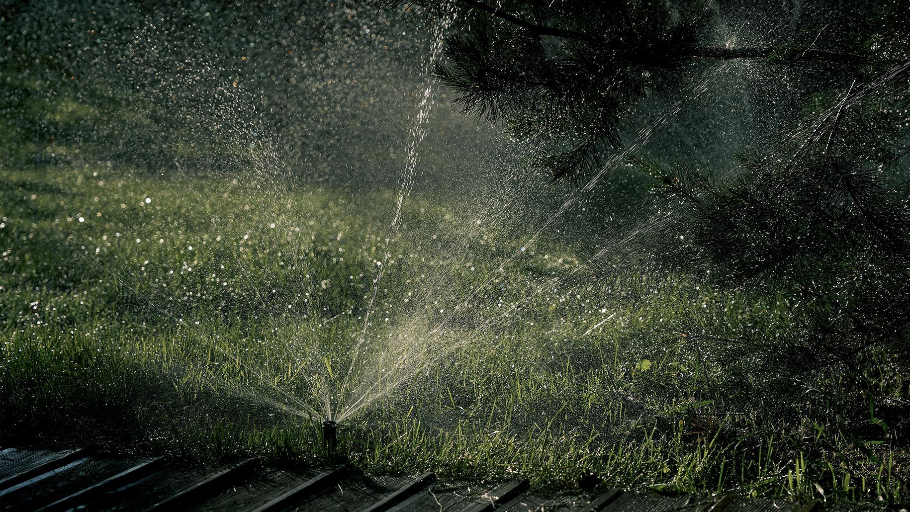 5 Common Irrigation Problems and How to Fix Them