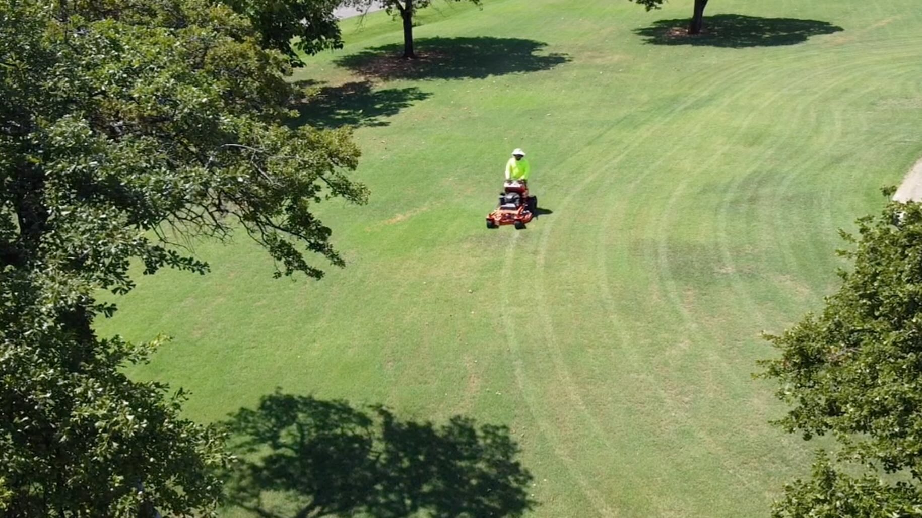 Lawn Maintenance
