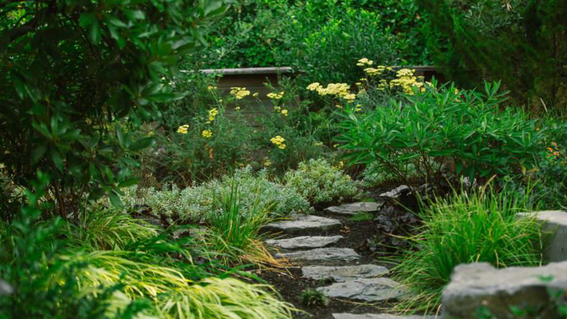 Spring Landscape Prep in Oklahoma. What to Do Now for a Healthier Landscape All Year