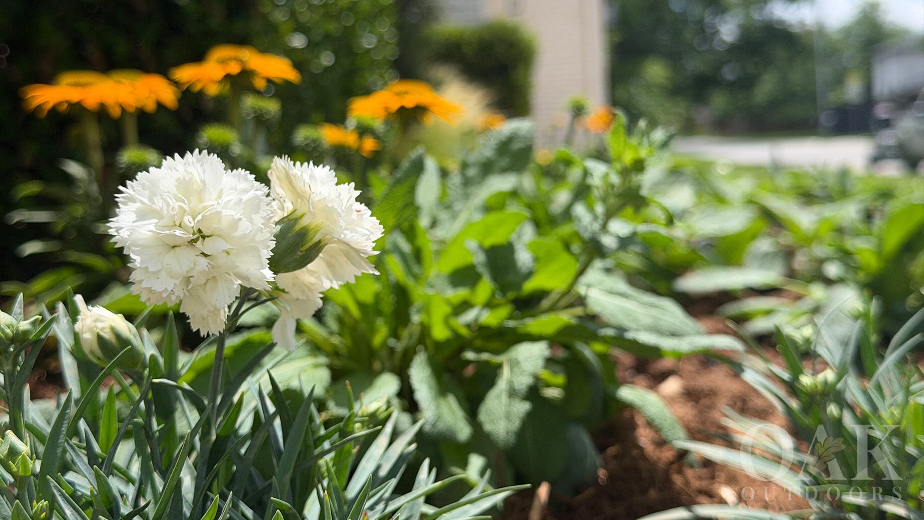 West Garden Revival in Nichols Hills