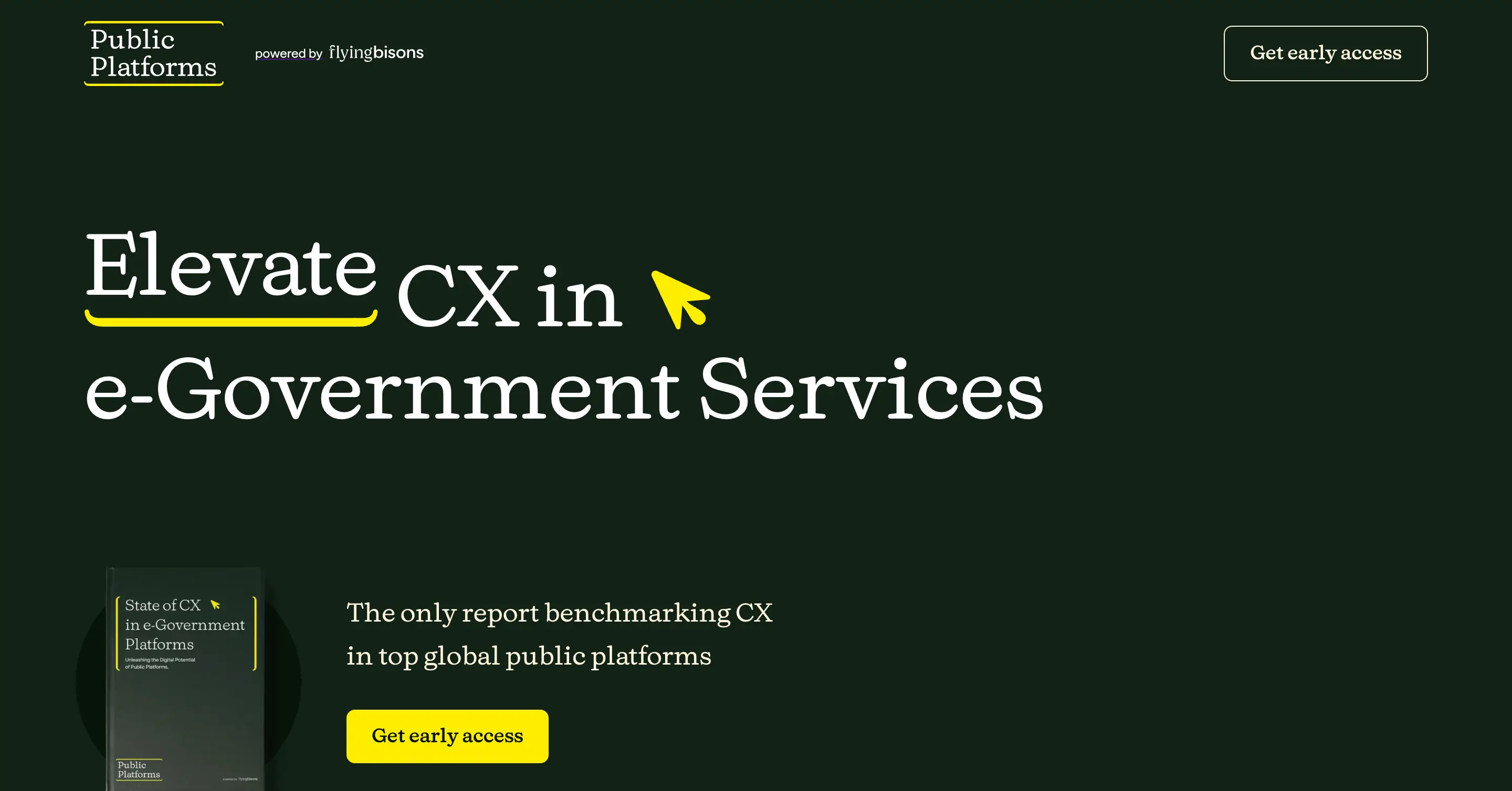 Screenshot of State of CX in e-Government Platforms - Exclusive Insights and Best Practices