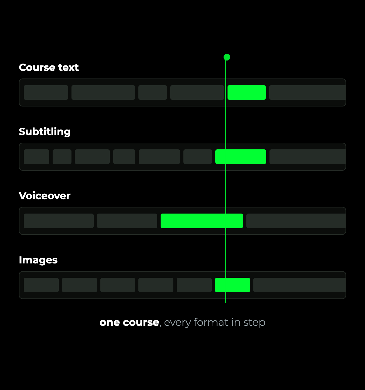 Course text, subtitling, voiceover and images running side by side against one timeline