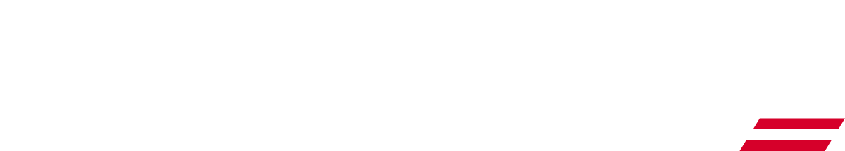 Blecha logo