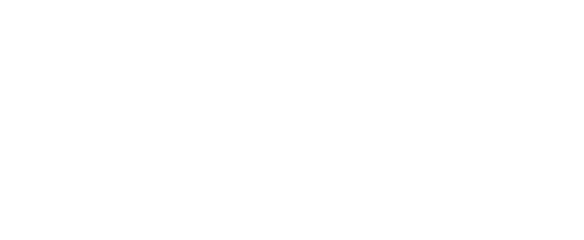 Aviation Academy Austria logo
